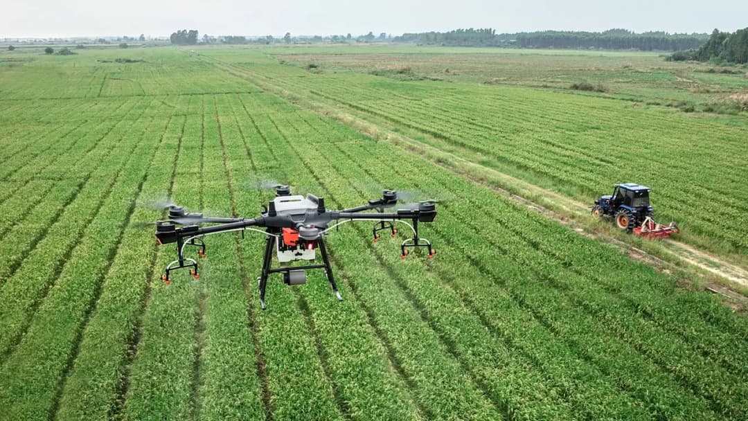 Agricultural Land Assessment